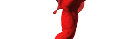 trophy-1